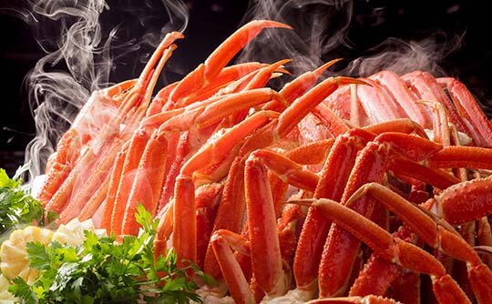 夜间厨房体育场~特色美食纪行北海道~印象