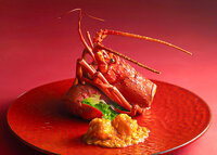 【年末年初限定】 特别午餐&晚餐套餐2026